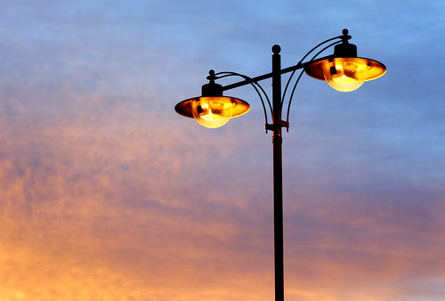 a street light to see if insects like light